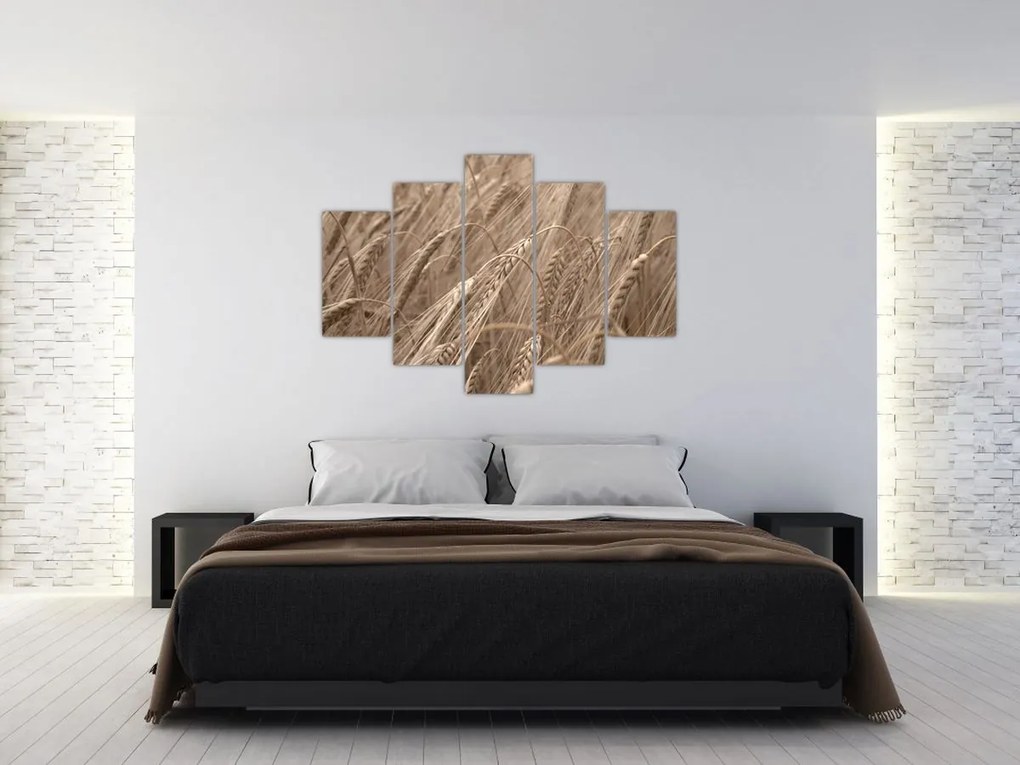 Kép - Az arany mező (150x105 cm)