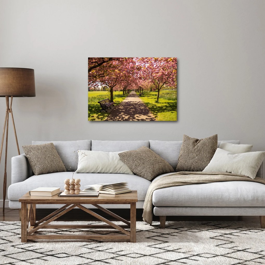 Kép - cseresznye ültetvény (70x50 cm)