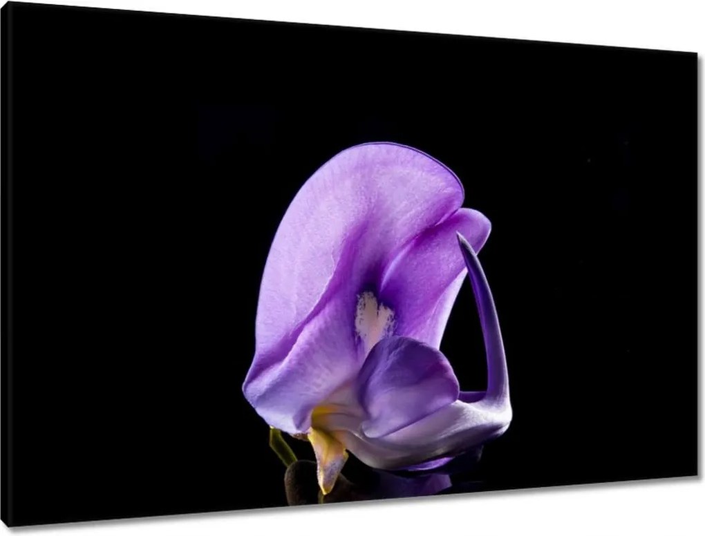 Vászonkép 90x60 Nőnap Ajándék Love