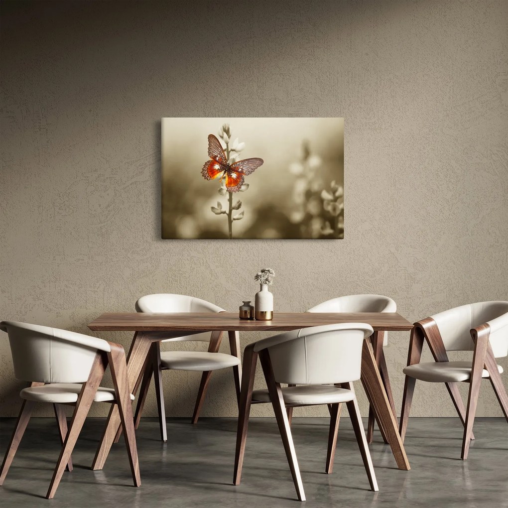 Pillangó képe (90x60 cm)