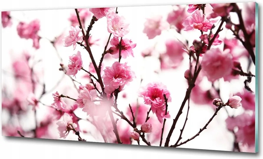 Fotó üvegkép Pitypang mag 125x50