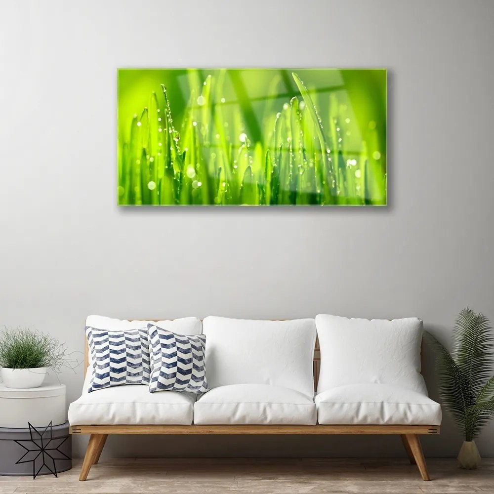 Üvegkép Green Grass Dew Drops 120x60cm