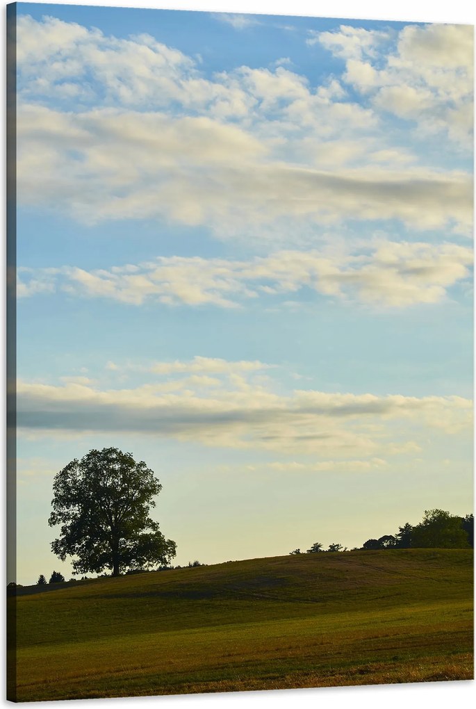 Vászonkép Természet Fa a réten 60x90 cm