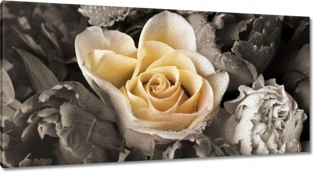 Vászonkép 115x55 Tearózsa