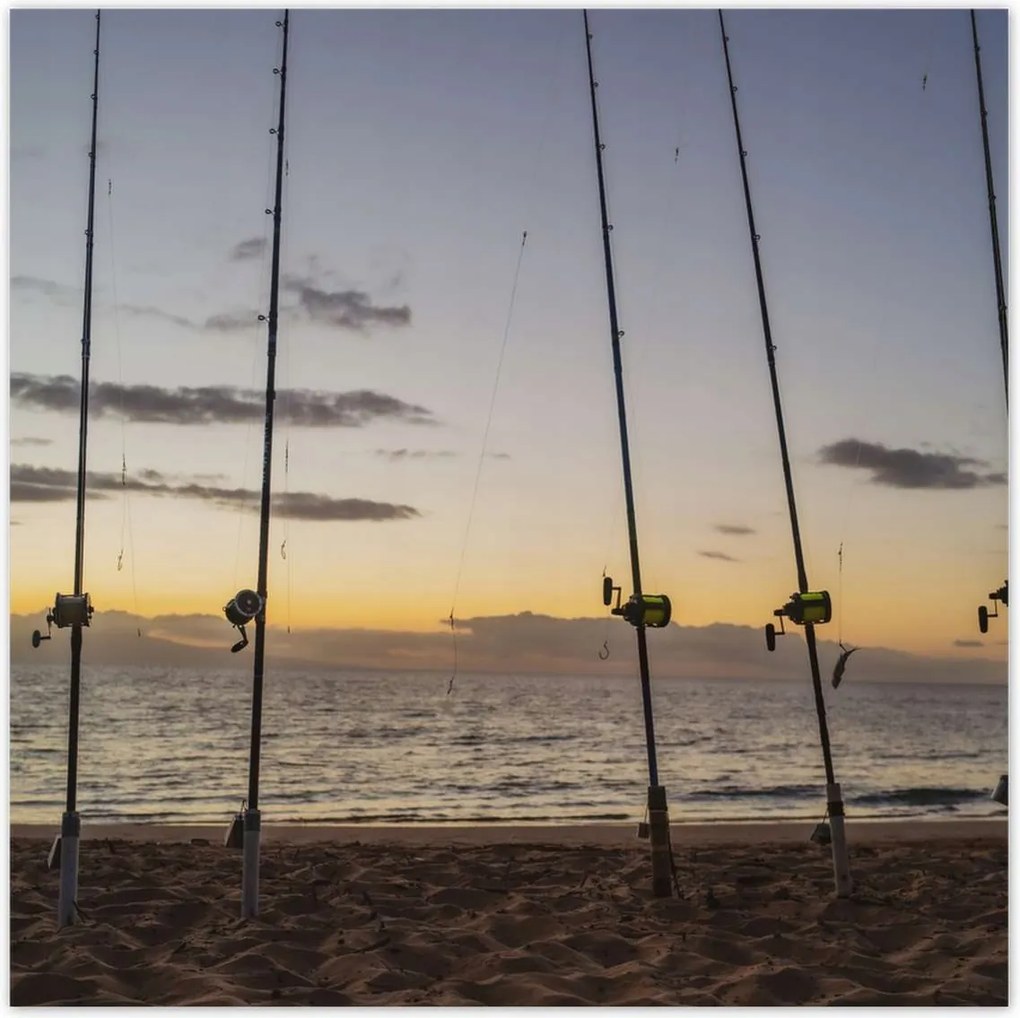 Poszterek 70x70 Kilátás az álló horgászbotokra