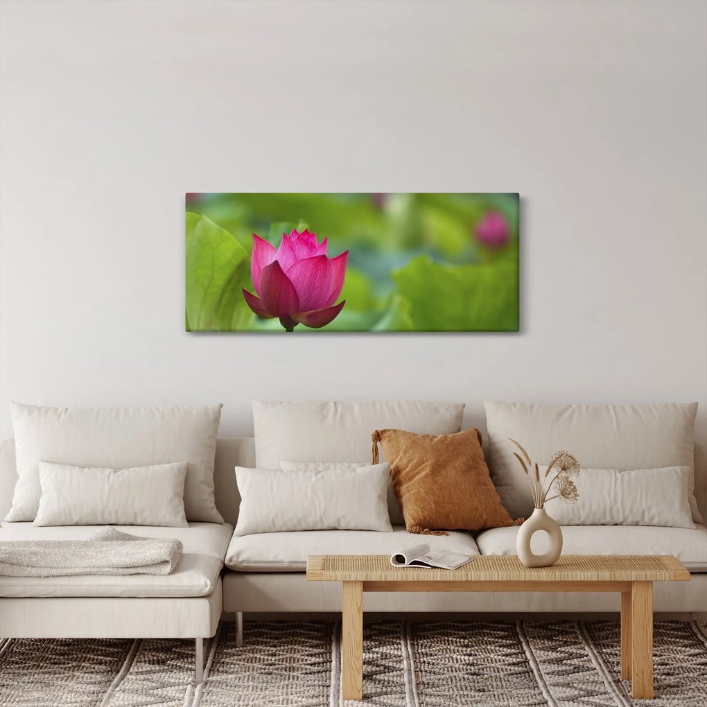 Kép - vízi növény (120x50 cm)