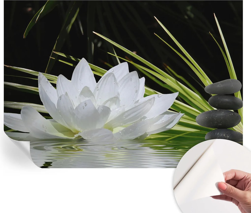Öntapadós Stílusos Fotótapéta Dekoratív Liliom Meditáció 208x146 cm