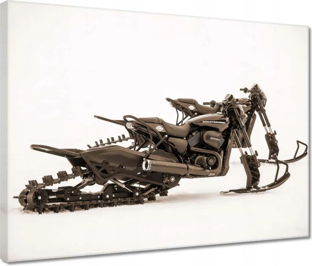 Vászonkép 40x30 Harley Davidson Motorkerékpár
