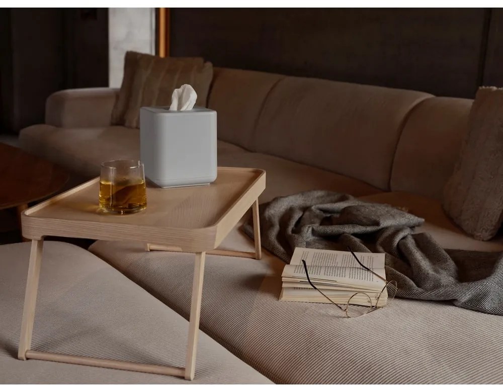 Műanyag zsebkendőtartó Ume – Zone