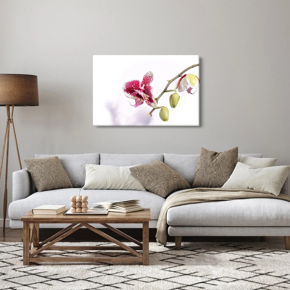 Orchidea virág képe (90x60 cm)