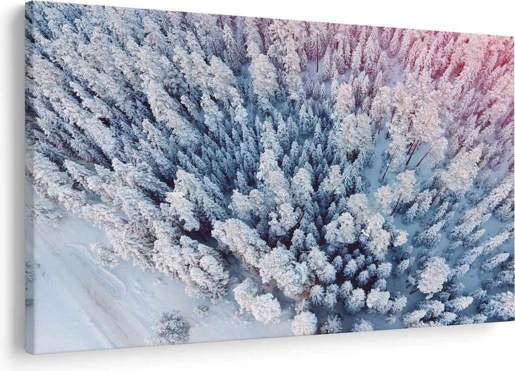 Havas fák képe (90x60 cm)