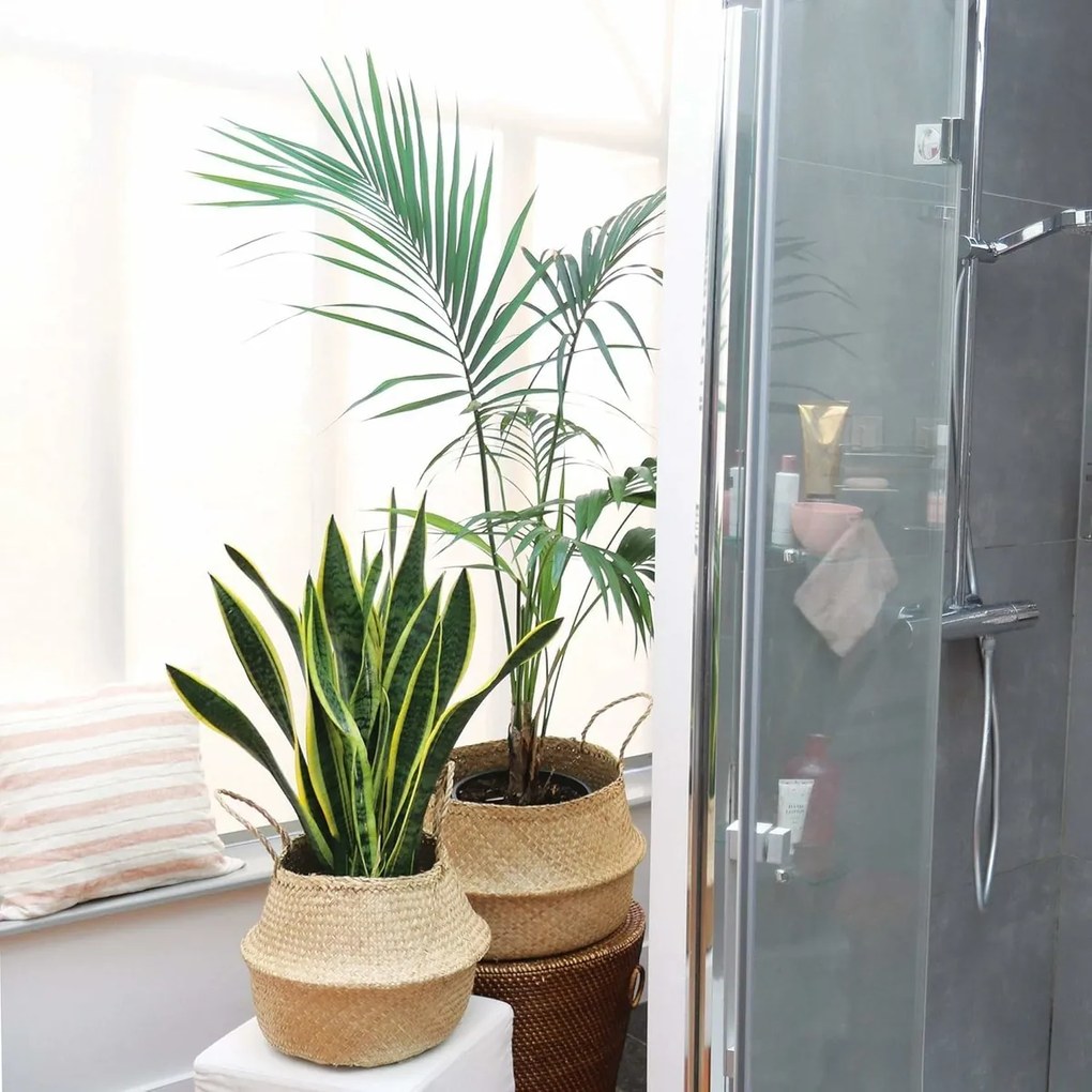 Compactor Belly kötött tengeri fű tárolókosár, 35 x 32 cm, natúr, M