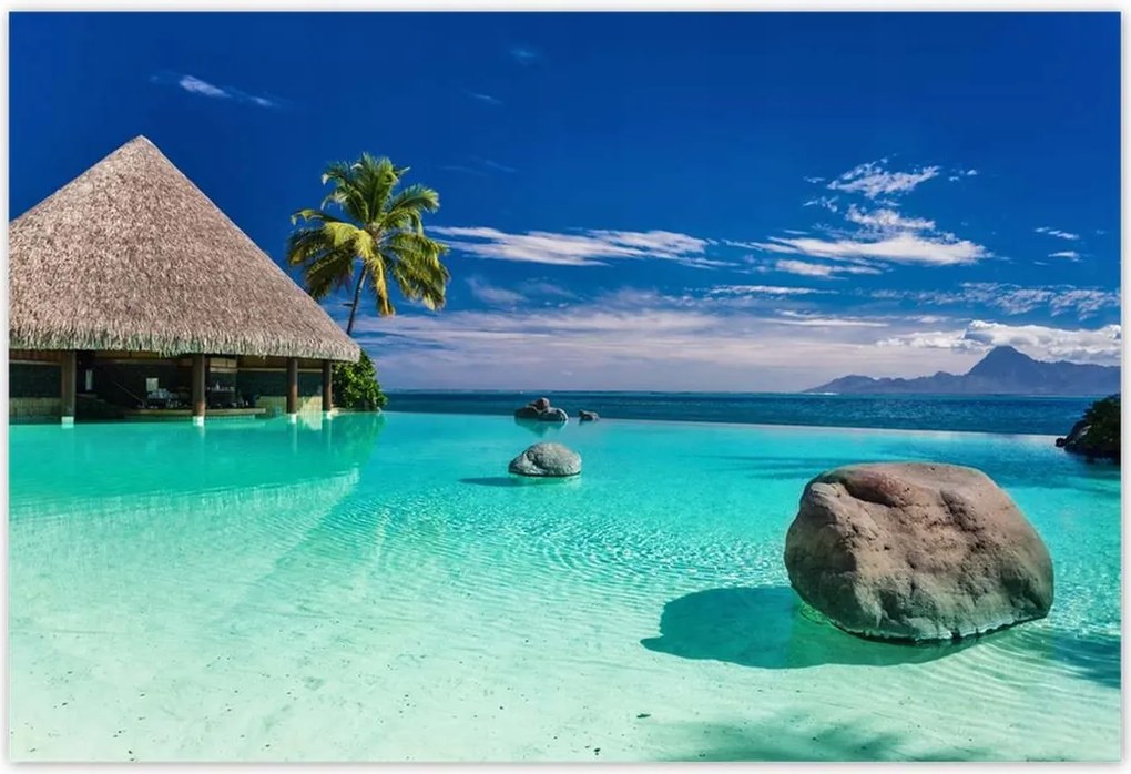 Poszterek 200x135 Trópusok Tájkép Pálmafák