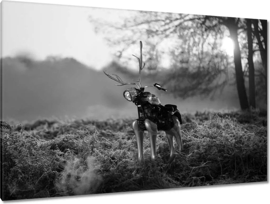 Festmények 120x80 Szarvas Modern művészet