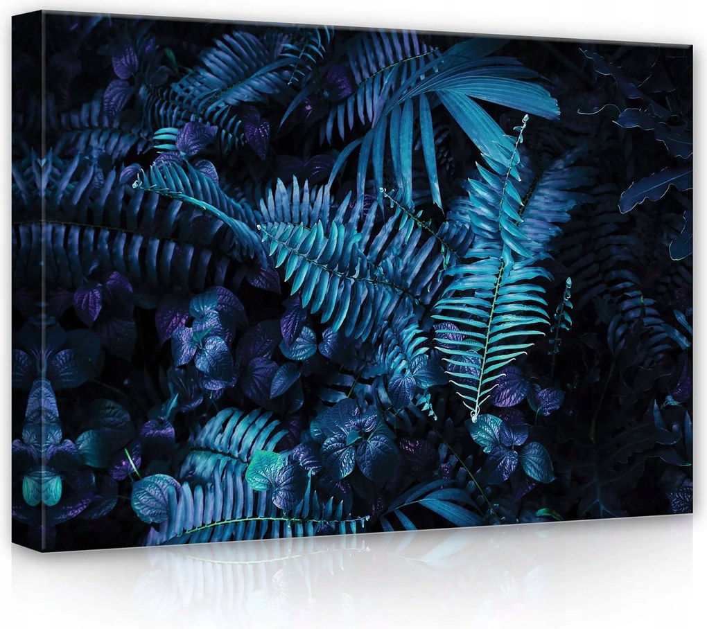 Vászonkép 70x50 Trópusi növényzet páfrány pálmalevelek sötét titokzatos