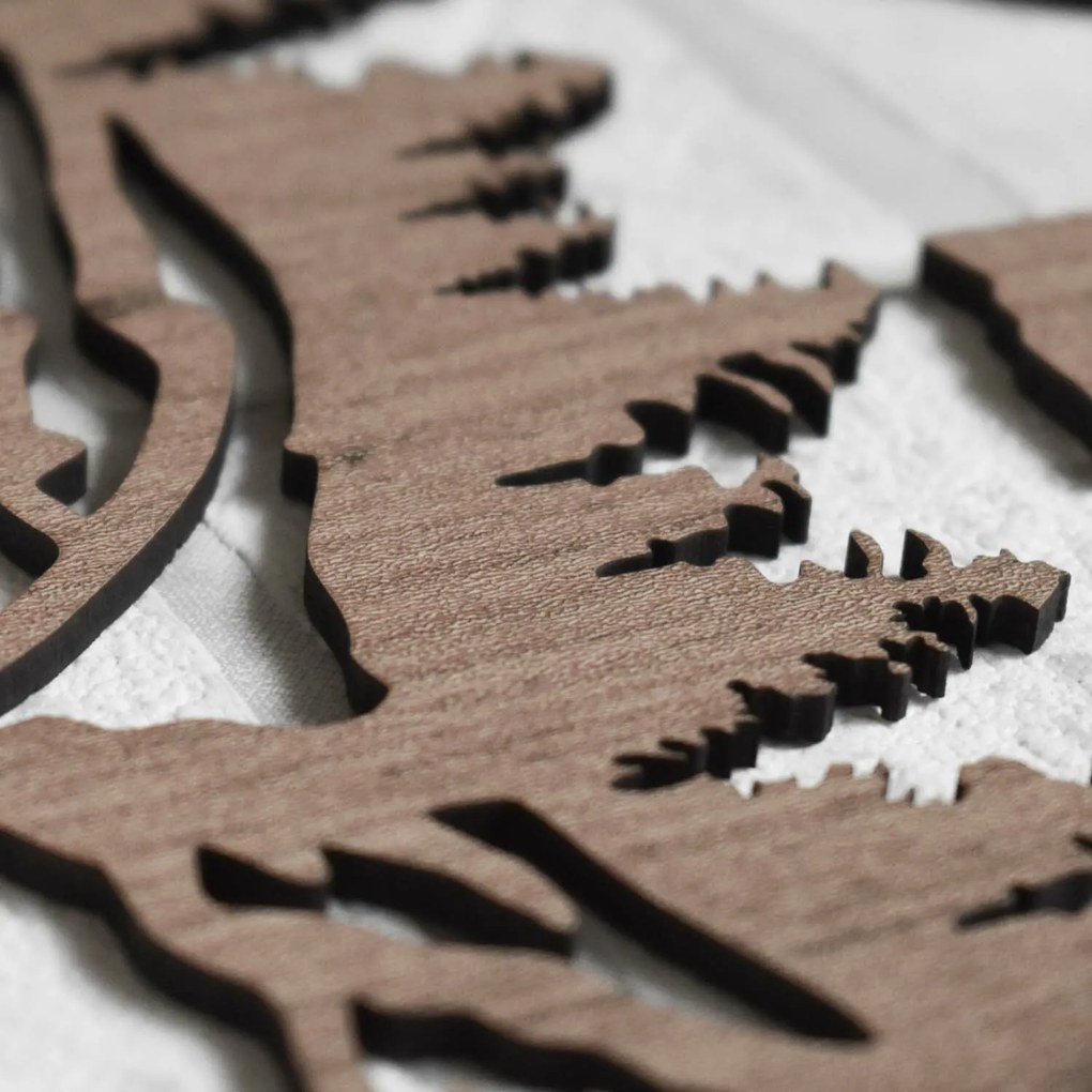 DUBLEZ | Fa falikép - Medve és hegyek