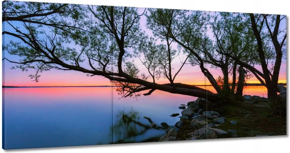 Vászonkép 120x60 Sziklák Fa Tó