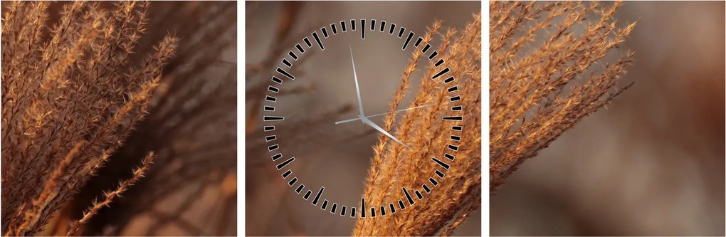 Kép - Cortaderia (órával) (90x30 cm)