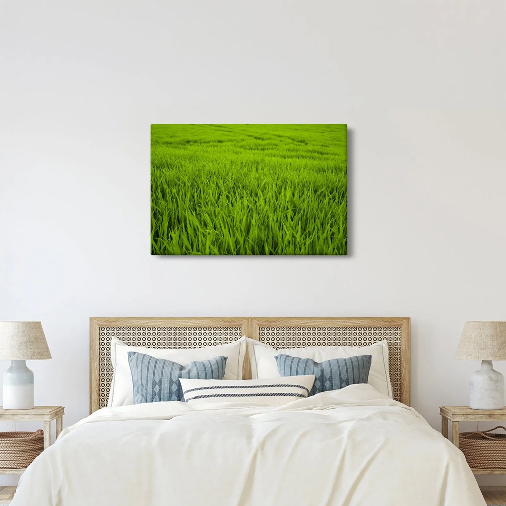 A fű képe (90x60 cm)