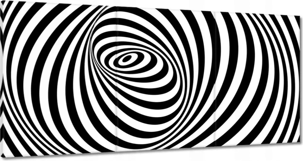 Festmények 120x60 Absztrakt fekete-fehér