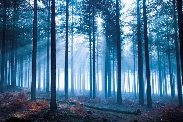 Fény és napsugarak poszter