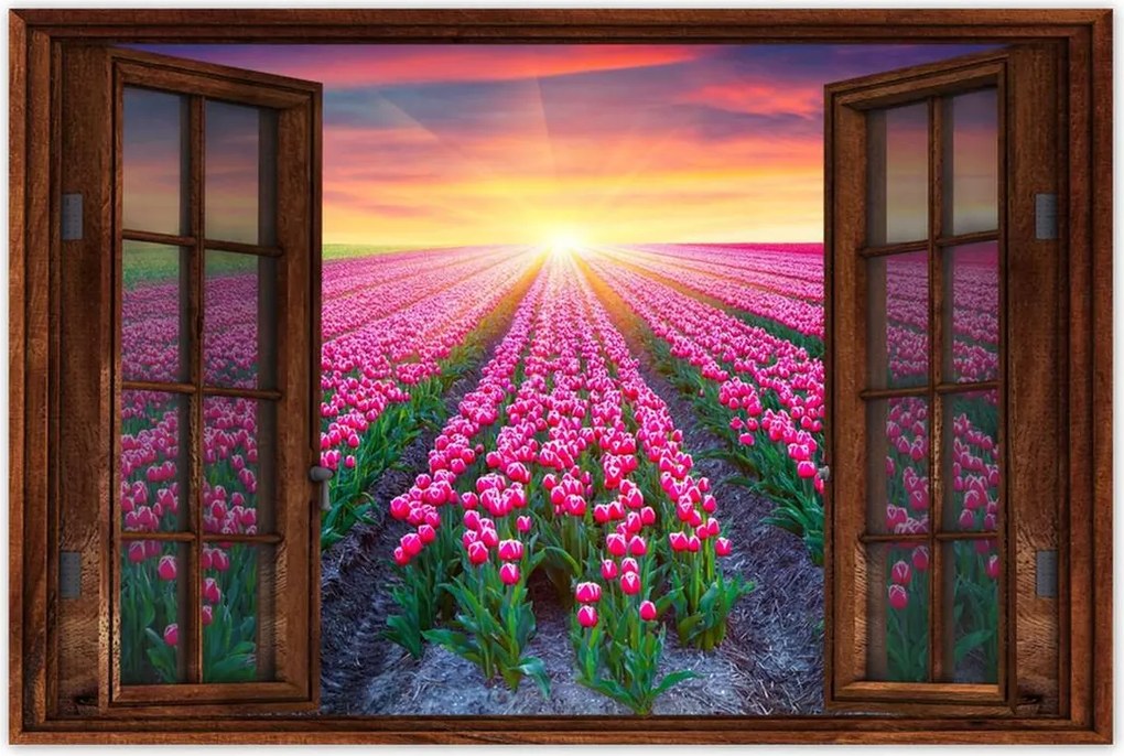 Poszterek 120x80 Tulipánok tengere Virágok