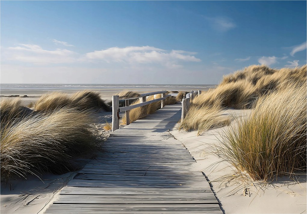 Fotótapéta Tengerpart Dűnék Hálószoba Nappali Tapéta Flizelina 400x280