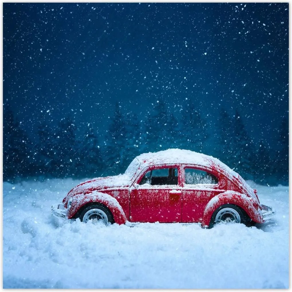 Poszterek 140x140 Bogár