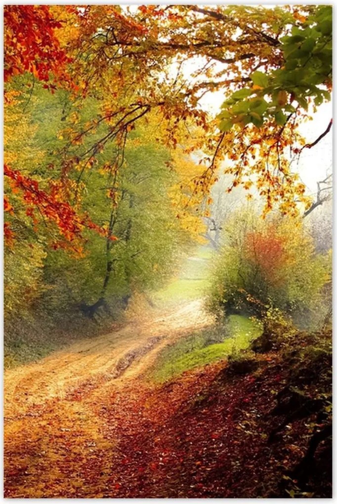 Poszterek 60x90 Tájkép