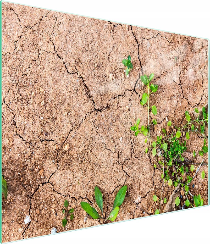 Üveg Vágódeszka 52x30 Növények Edzett Üveg