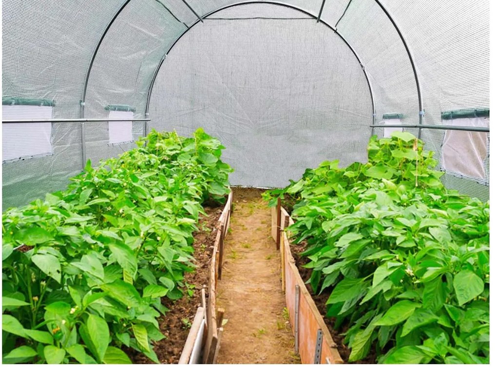 Kerti fóliaház/fóliasátor 2x3m UV filterrel STANDARD