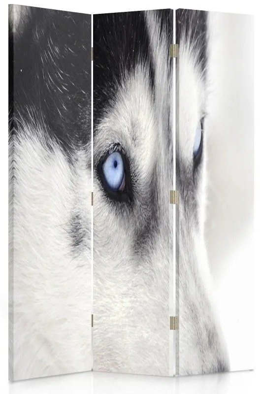 Gario Paraván Szibériai husky Méret: 145 x 170 cm, Kivitelezés: Forgó paraván 360°