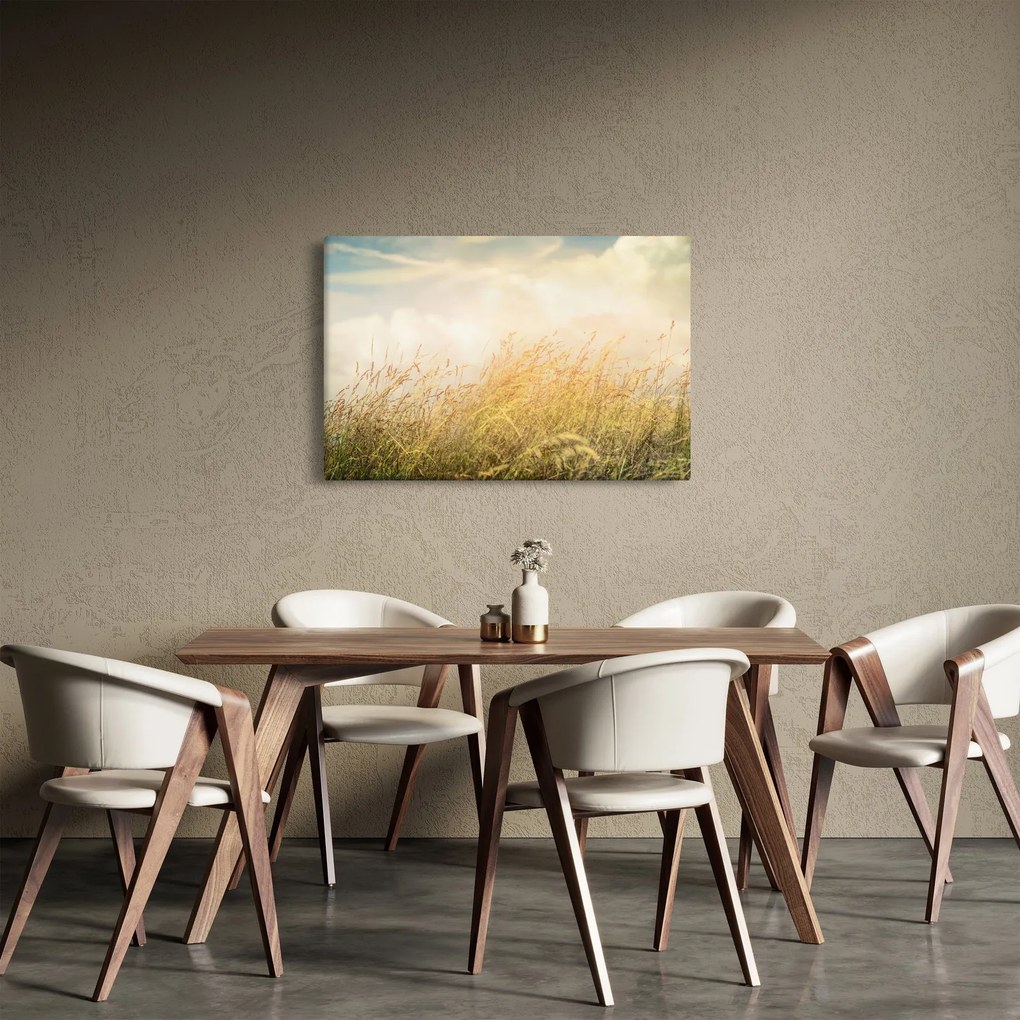 Kép - Mező ősszel (90x60 cm)