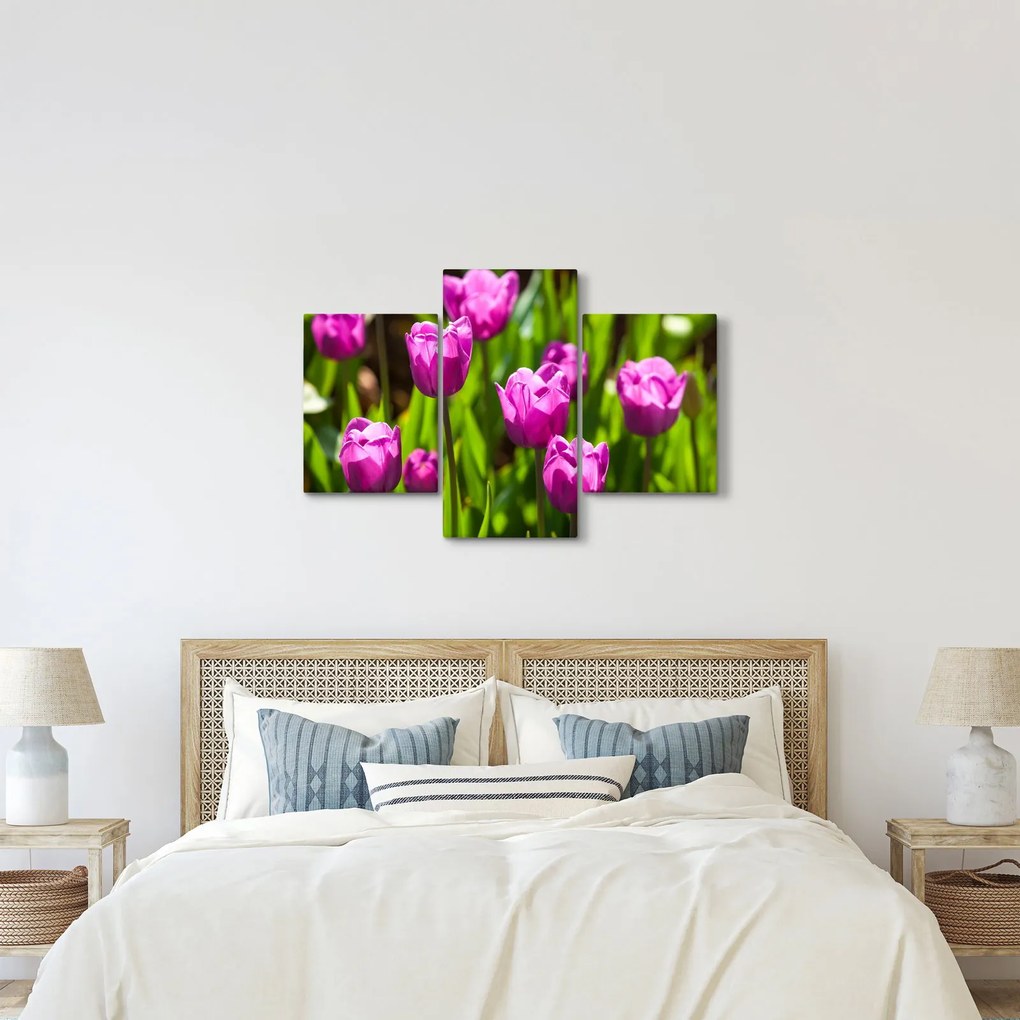 Tulipánok a réten képe (90x60 cm)