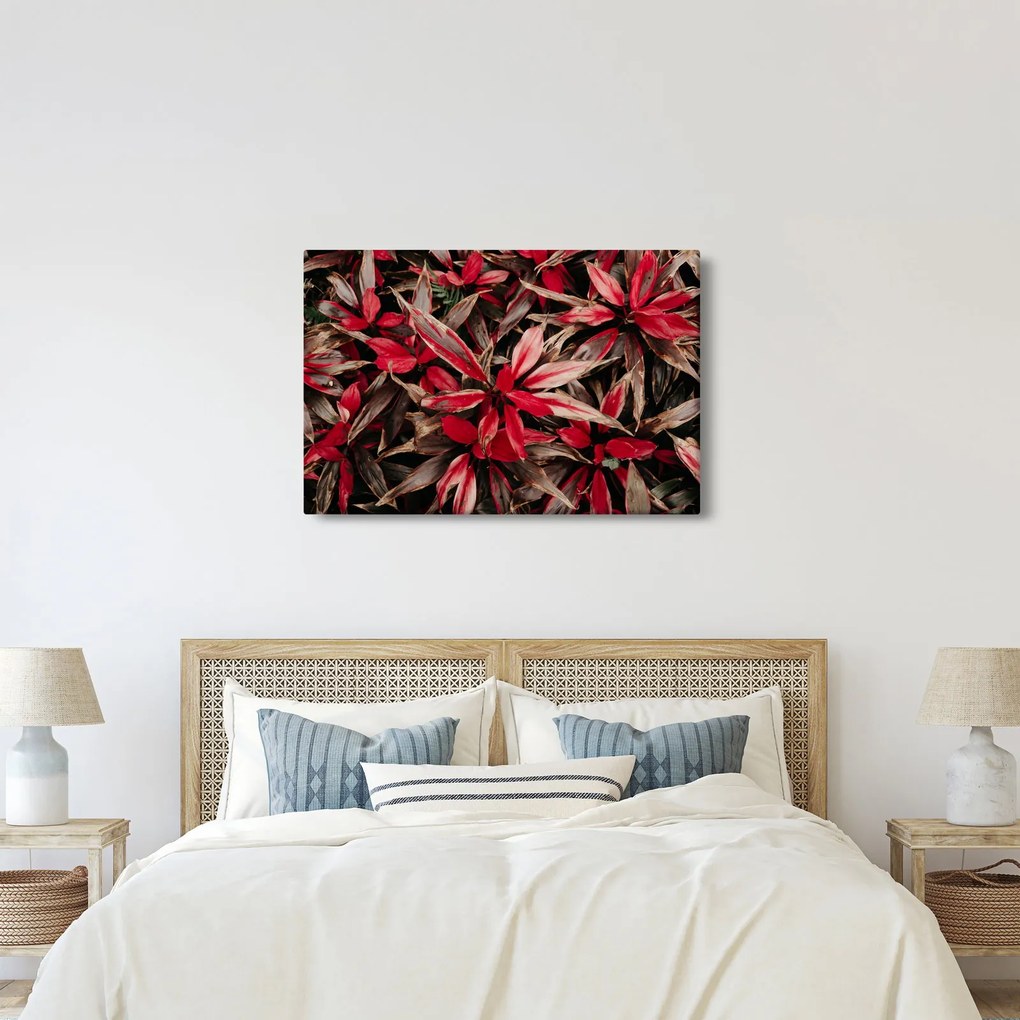Piros szirmok képe (90x60 cm)