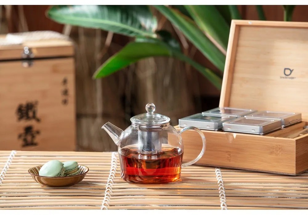 Minuet Santhee üveg teáskanna szűrővel, 500 ml - Bredemeijer