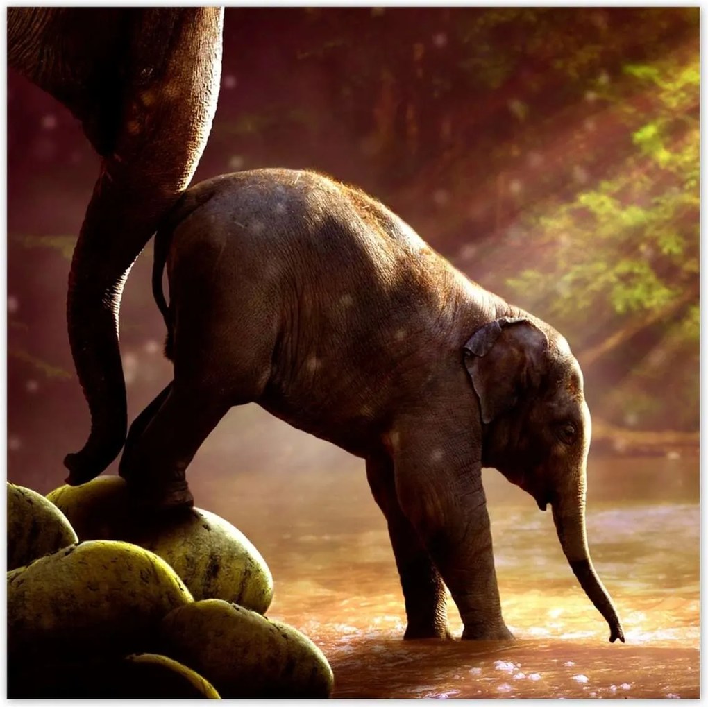 Poszterek 30x30 Anya csak egy van