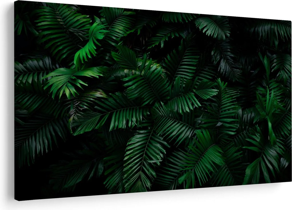Kép - trópusi páfrány (90x60 cm)