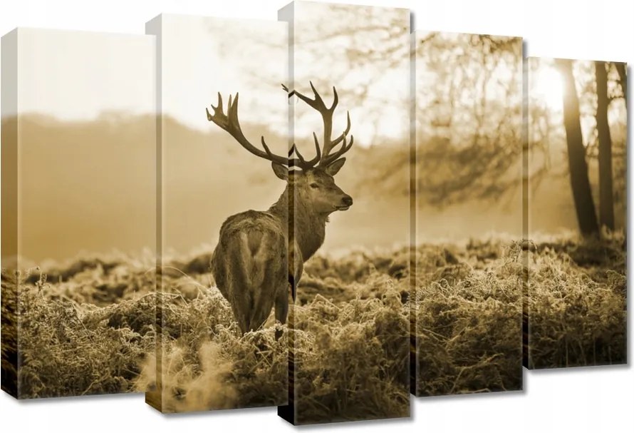 Vászonkép 70x50 Szépia szarvas