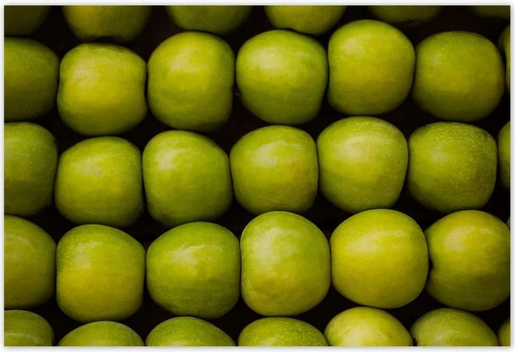 Poszterek 200x135 Zöld alma Alma