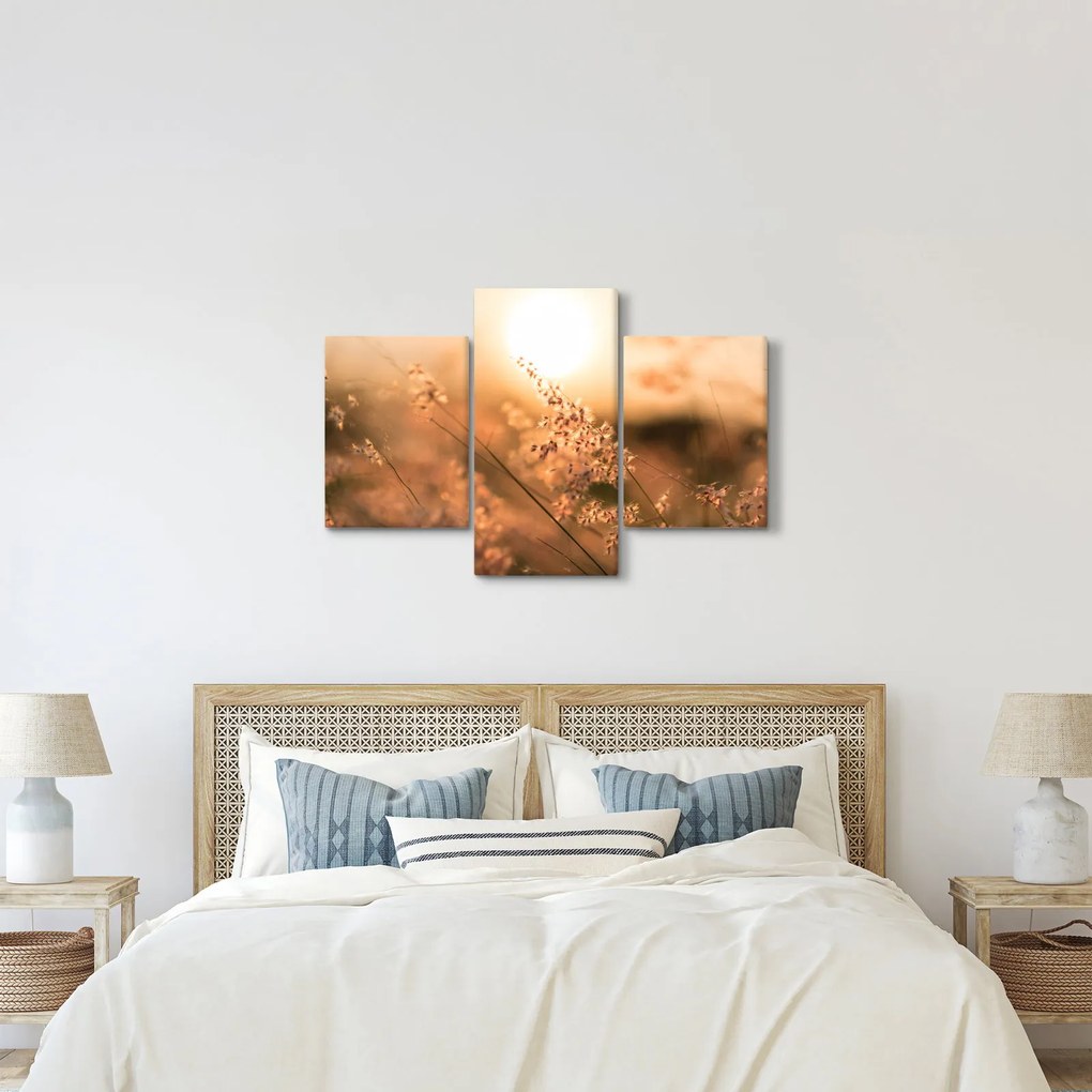 Kép - Fű a napon (90x60 cm)