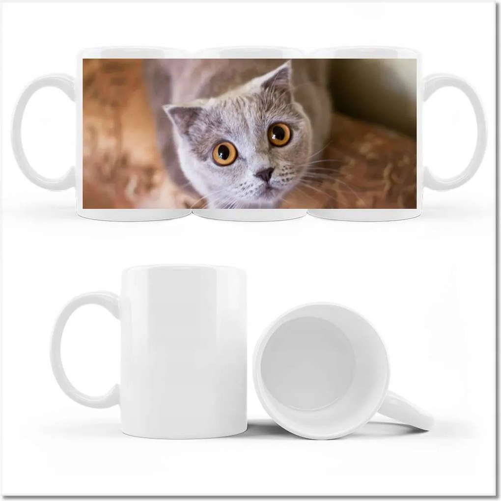 Fotó bögre Macska Cicák