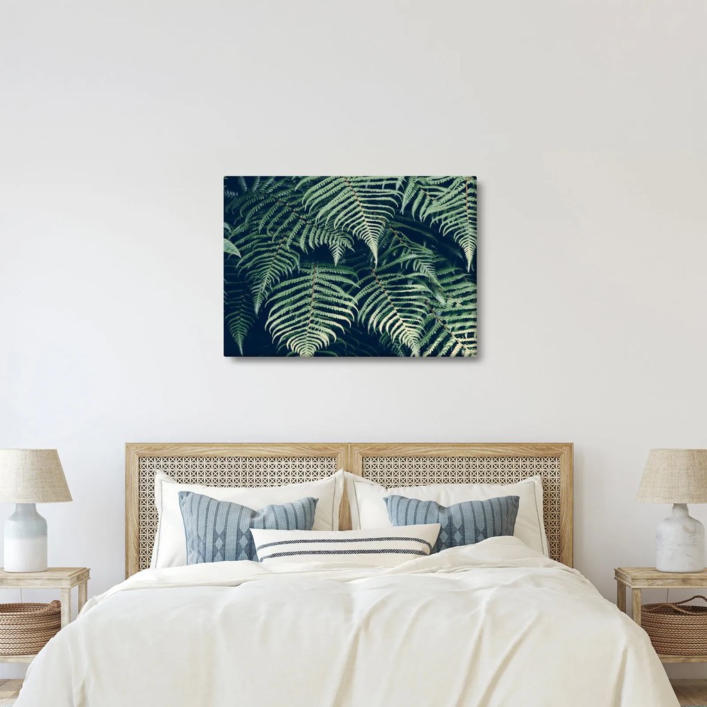A páfrány levelek képe (70x50 cm)