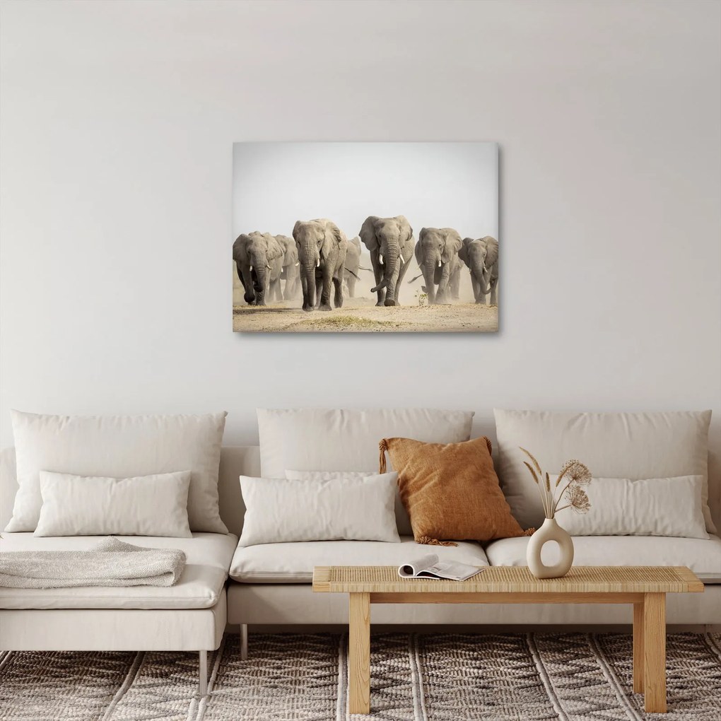 Kép - Elefántcsorda (70x50 cm)