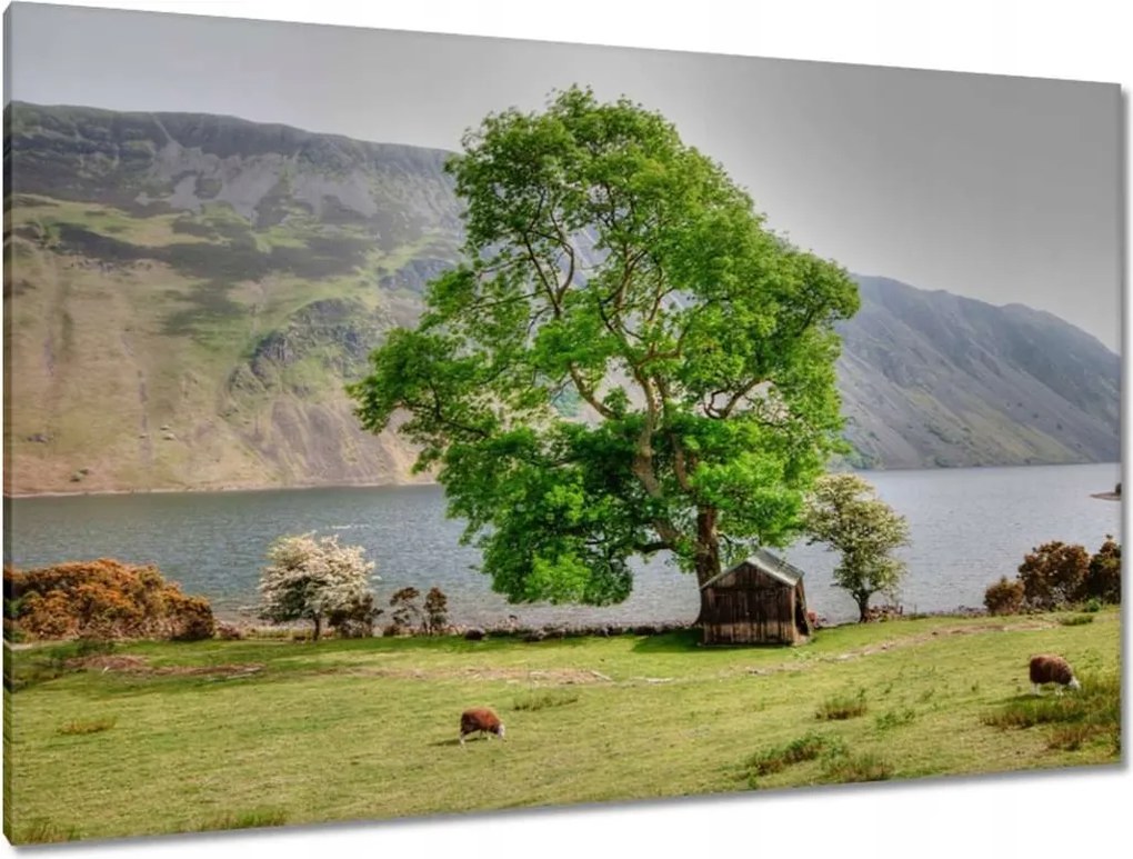 Festmények 120x80 Erős fa