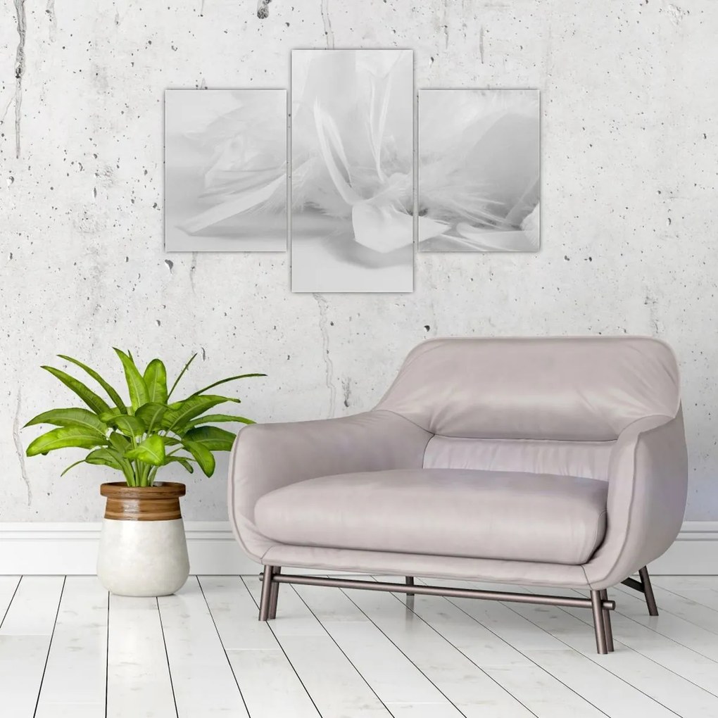 Kép - Tollak (90x60 cm)
