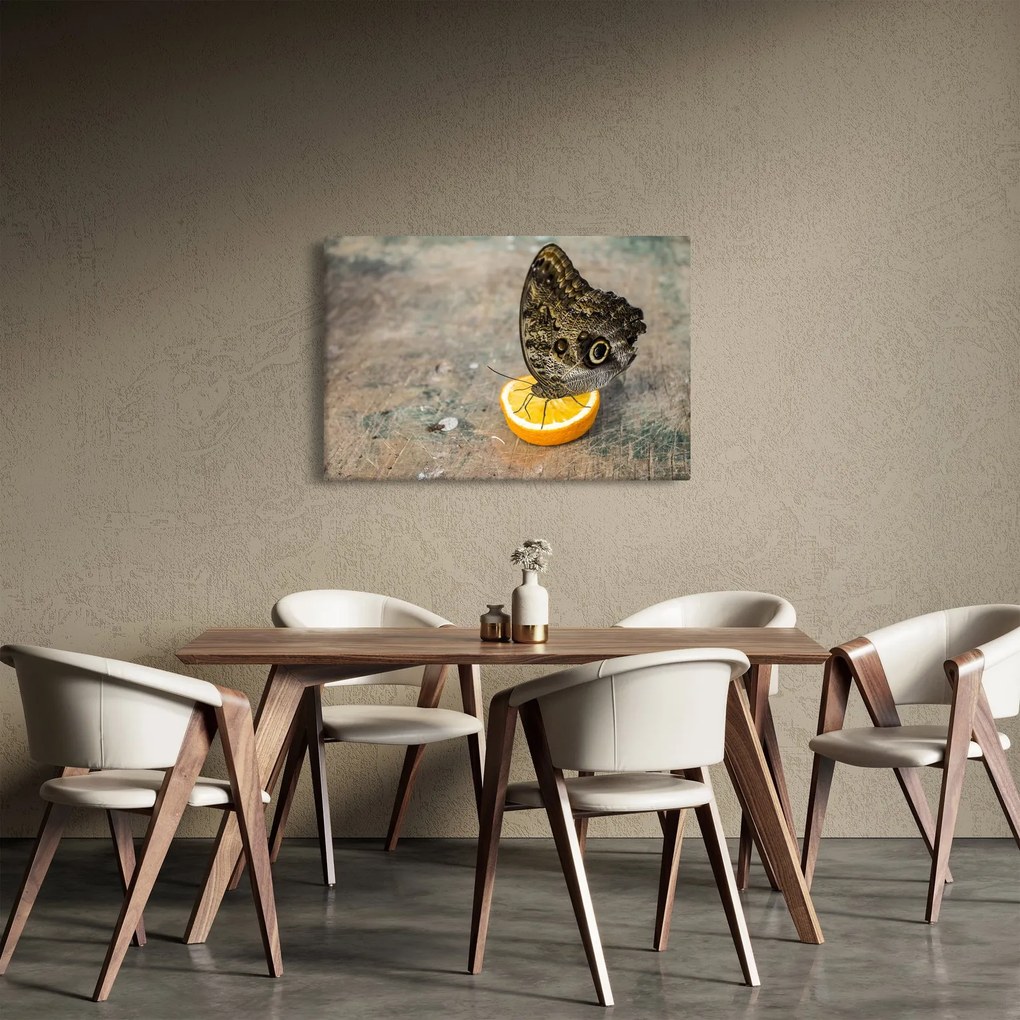 Pillangó képe (90x60 cm)