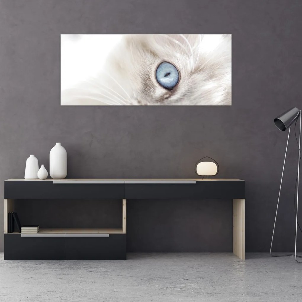 Kép - Kék szemű macska (120x50 cm)