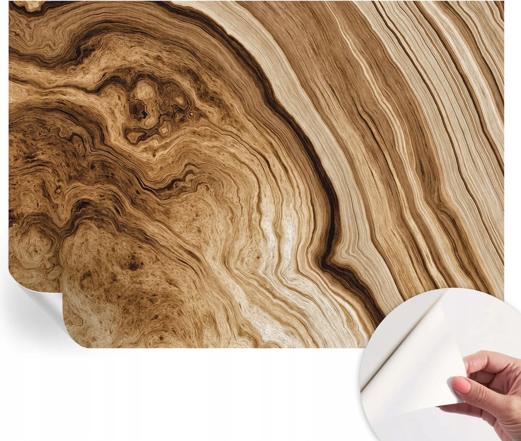 Dekoratív öntapadós fotótapéta irodába Fa tégelyek 312x219 cm