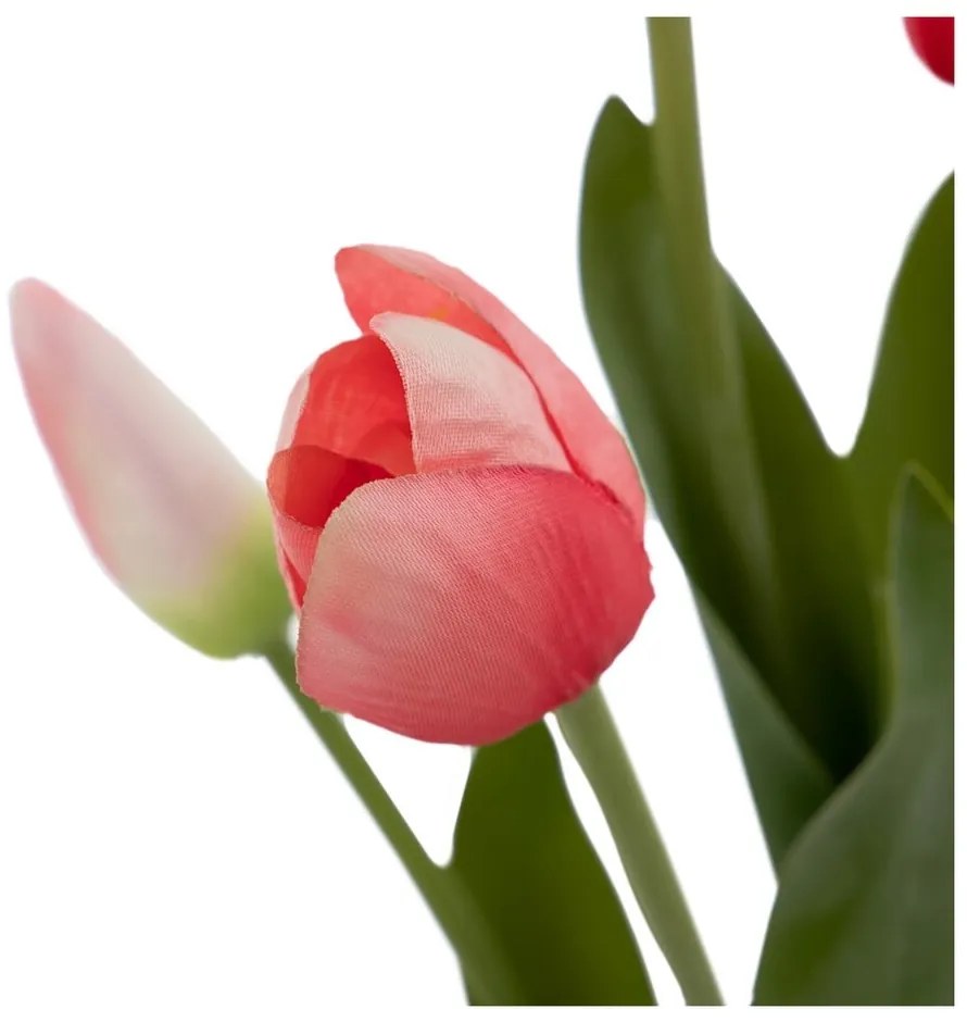 Művirág (magasság 31 cm) Tulips – Ixia